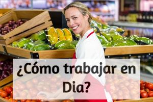 ¿Cómo trabajar en Dia?